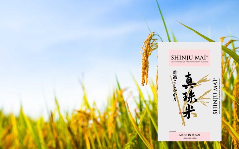 Connaissez-vous la variété Koshihikari, le riz le plus cultivé du Japon ? - Have You Heard of Koshihikari, Japan's Most Cultivated Rice Variety?