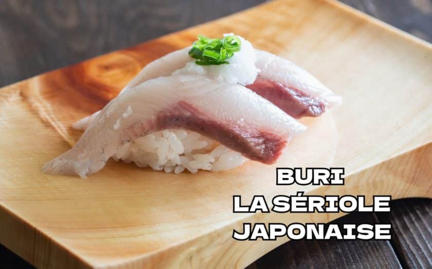 Buri la sériole japonaise